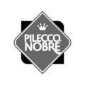 Pileco Nobre